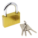 Fusine™ Hosi Heavy Duty Metal Lock with 4 Brass Keys (70MM)